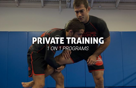 Gracie Barra Huntington Beach Private Training