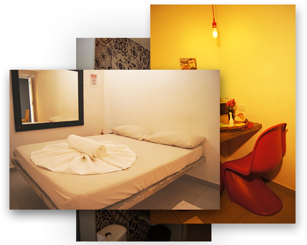 sobre a sun varias fotos