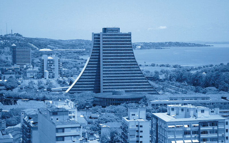 Trigueiro Fontes Porto Alegre